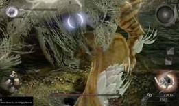 半藏官方爆料视频在哪看,揭秘精彩内容